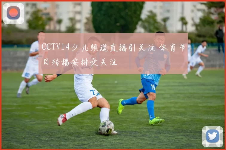 CCTV14少儿频道直播引关注 体育节目转播安排受关注