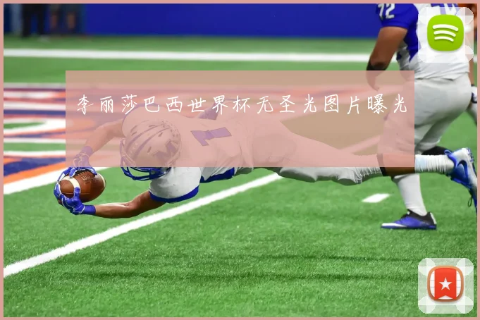 李丽莎巴西世界杯无圣光图片曝光