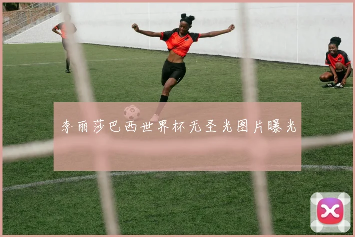 李丽莎巴西世界杯无圣光图片曝光