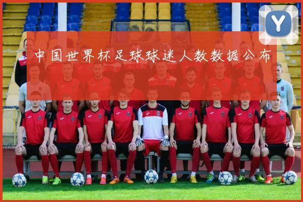 中国世界杯足球球迷人数数据公布