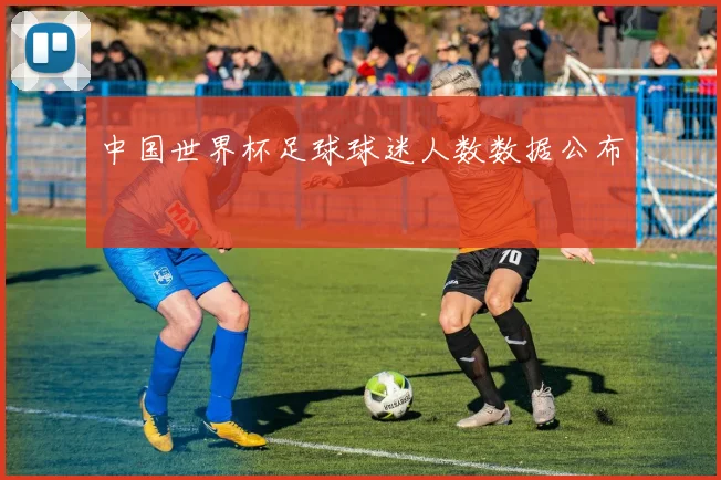 中国世界杯足球球迷人数数据公布