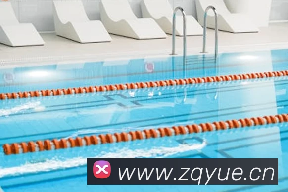 世界杯中国官网发展历程